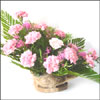 Charming Beauty - Click here to View more details about this Product